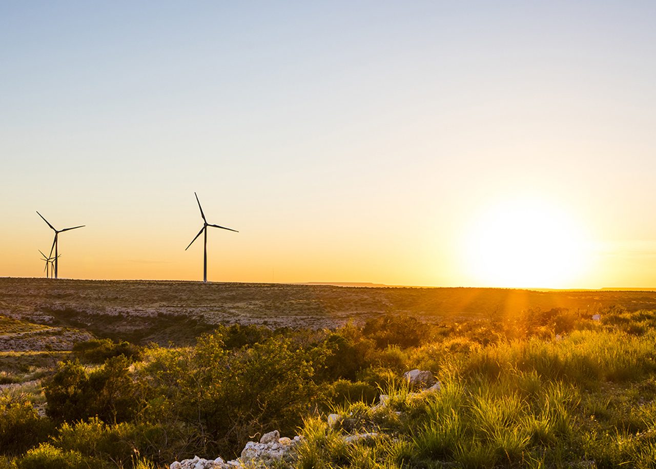 wind farm at sunset