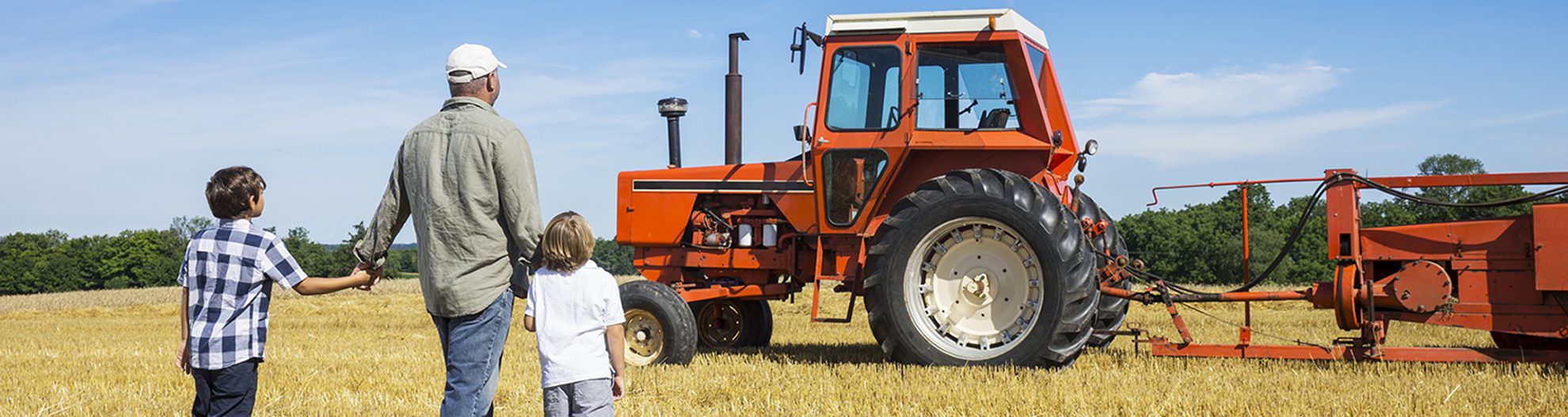 Man with children and tractor in field